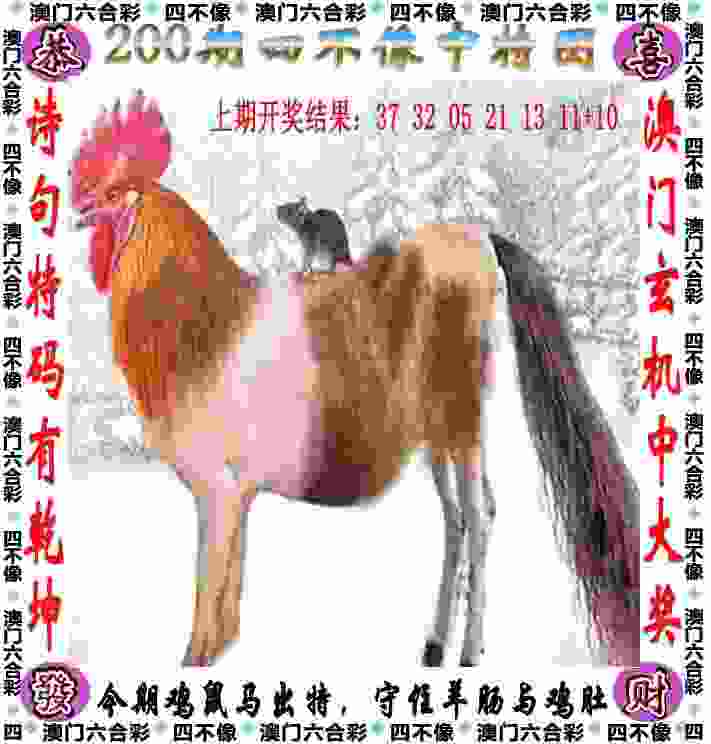 2025年天天彩免费大全爆衣版下载-管家婆100%中奖澳门元气兼职app下载v4   .72   .527   -2278安卓网